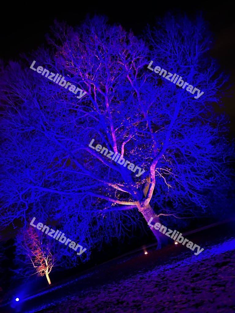 Lighted Blue Tree